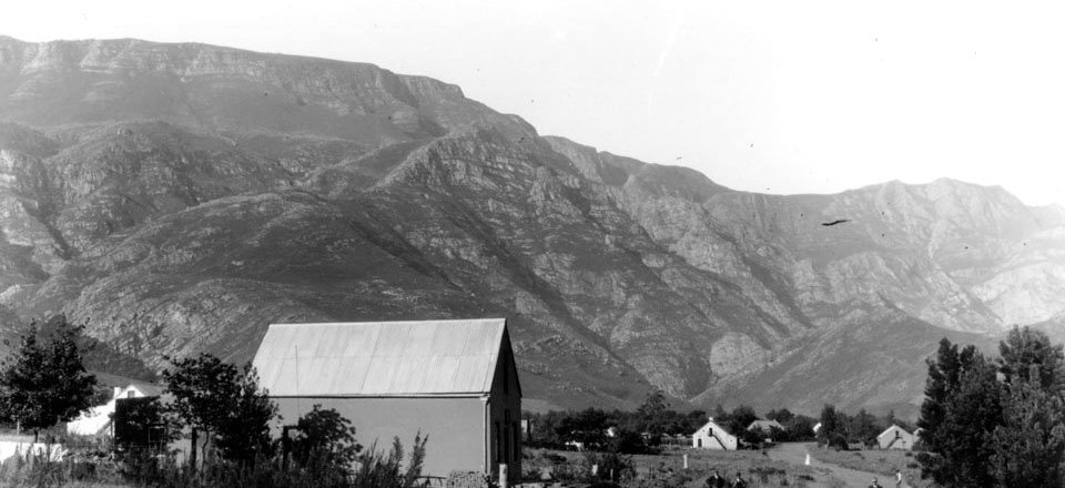 Embark on an Enlightening Stroll